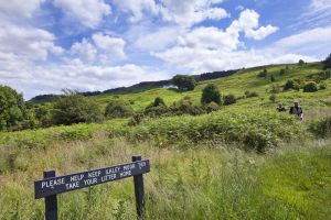 ilkley loor from white wells car park july 12 2012 sm.jpg